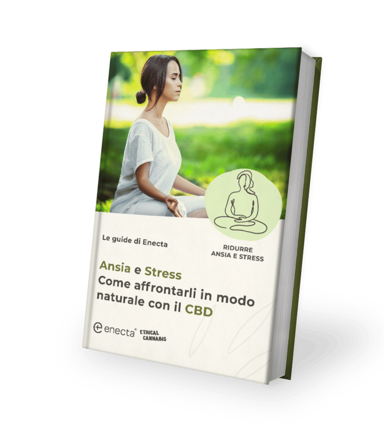 Mock-up ansia e stress sfondo trasparente Mock-up ansia e stress sfondo trasparente