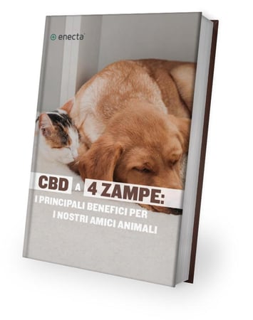 CBD per animali CBD per animali